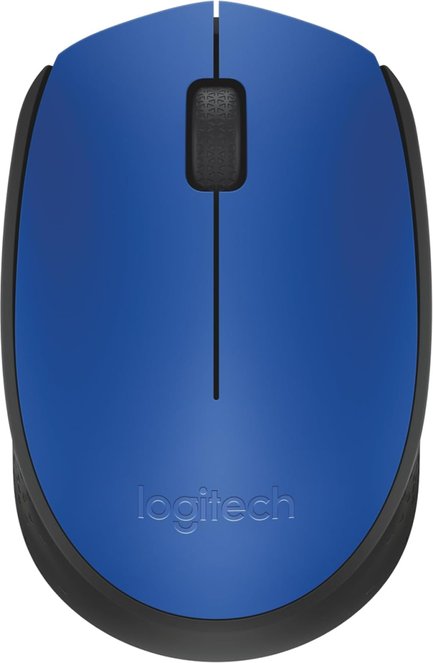 Logitech M171 Kablosuz Optical Mouse
